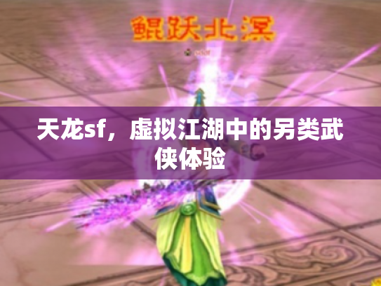 天龙sf，虚拟江湖中的另类武侠体验