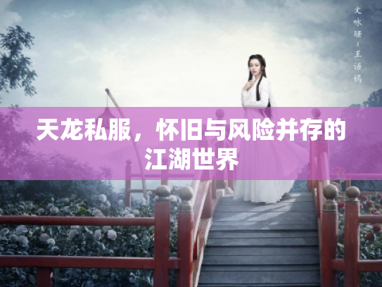 天龙私服，怀旧与风险并存的江湖世界