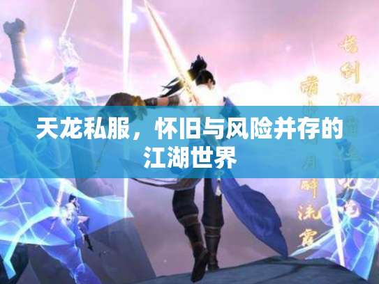 天龙私服，怀旧与风险并存的江湖世界