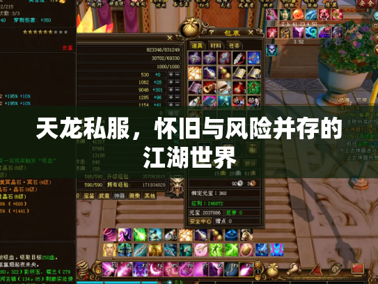 天龙私服，怀旧与风险并存的江湖世界