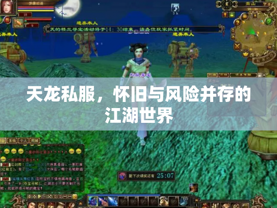 天龙私服，怀旧与风险并存的江湖世界
