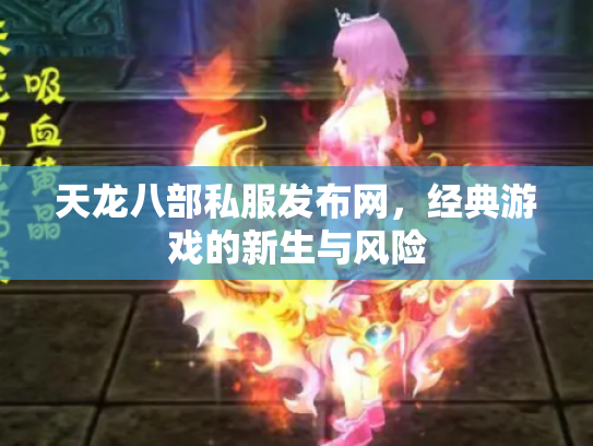 天龙八部私服发布网，经典游戏的新生与风险