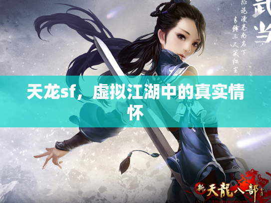 天龙sf，虚拟江湖中的真实情怀