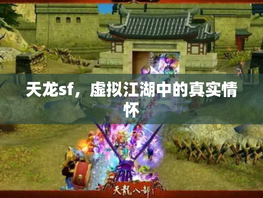 天龙sf，虚拟江湖中的真实情怀