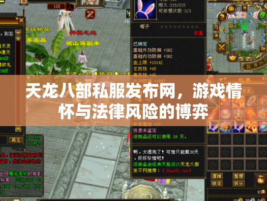 天龙八部私服发布网，游戏情怀与法律风险的博弈