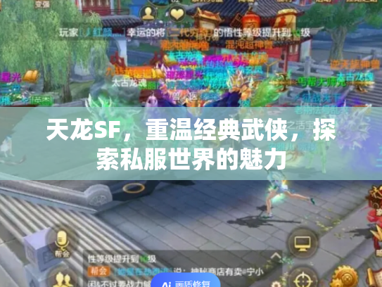 天龙SF，重温经典武侠，探索私服世界的魅力