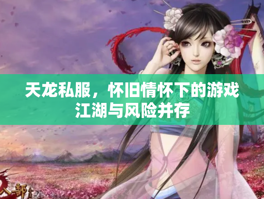 天龙私服，怀旧情怀下的游戏江湖与风险并存