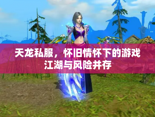 天龙私服，怀旧情怀下的游戏江湖与风险并存