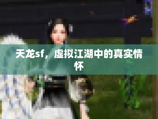 天龙sf，虚拟江湖中的真实情怀