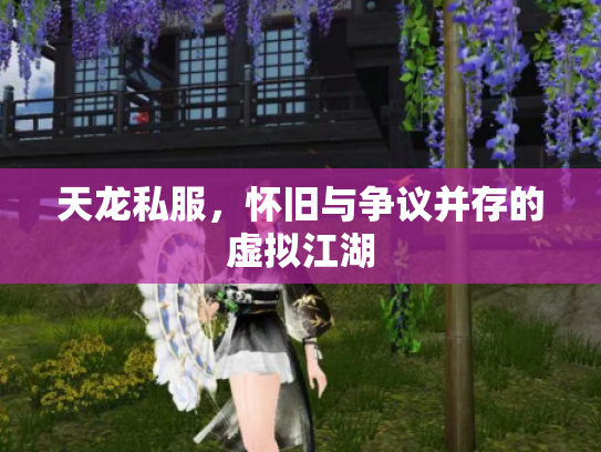 天龙私服，怀旧与争议并存的虚拟江湖