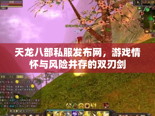 天龙八部私服发布网，游戏情怀与风险并存的双刃剑