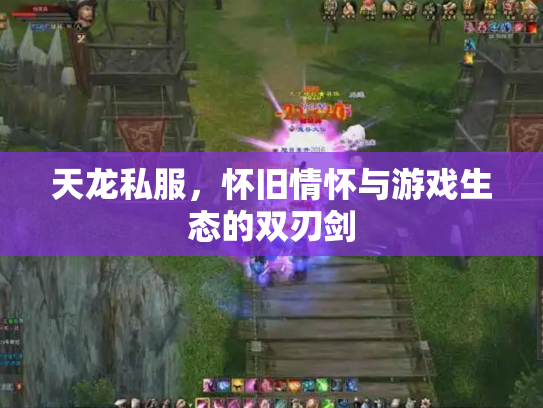 天龙私服，怀旧情怀与游戏生态的双刃剑