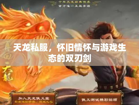 天龙私服，怀旧情怀与游戏生态的双刃剑