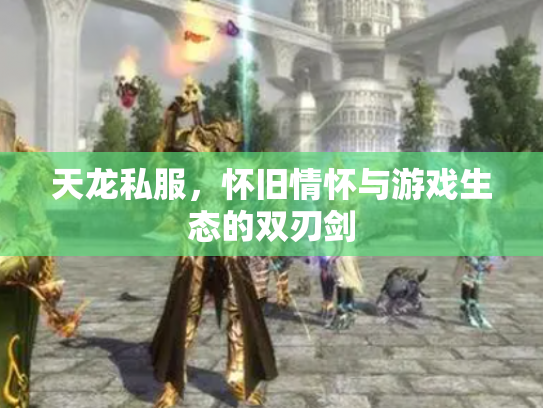 天龙私服，怀旧情怀与游戏生态的双刃剑