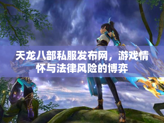 天龙八部私服发布网，游戏情怀与法律风险的博弈