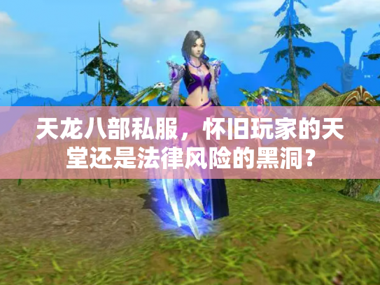 天龙八部私服，怀旧玩家的天堂还是法律风险的黑洞？