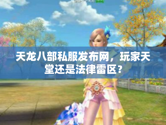 天龙八部私服发布网，玩家天堂还是法律雷区？
