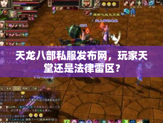 天龙八部私服发布网，玩家天堂还是法律雷区？
