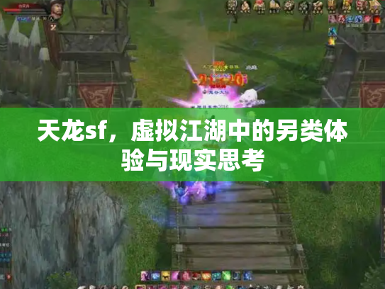 天龙sf，虚拟江湖中的另类体验与现实思考