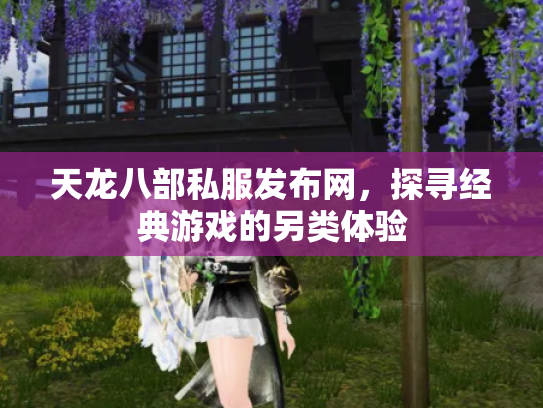 天龙八部私服发布网，探寻经典游戏的另类体验