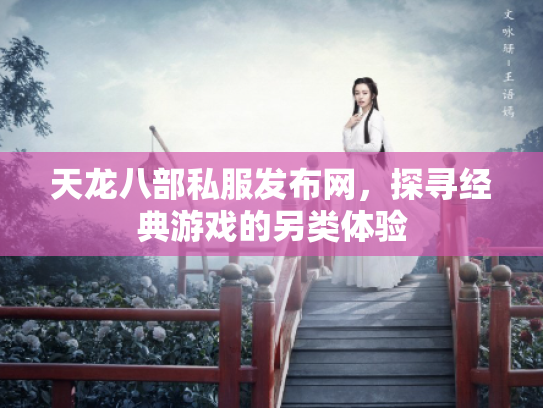 天龙八部私服发布网，探寻经典游戏的另类体验