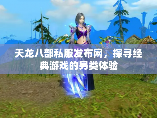 天龙八部私服发布网，探寻经典游戏的另类体验
