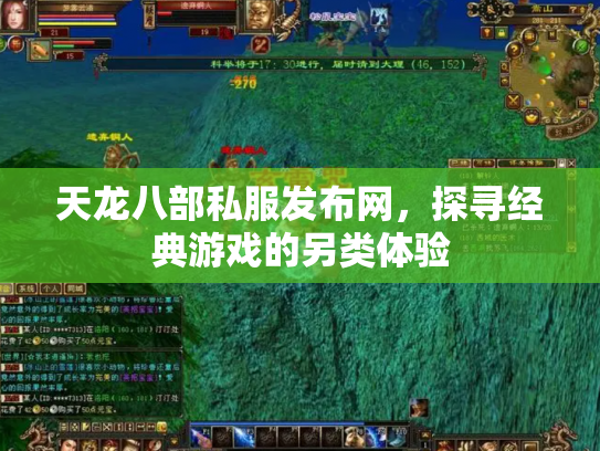 天龙八部私服发布网，探寻经典游戏的另类体验