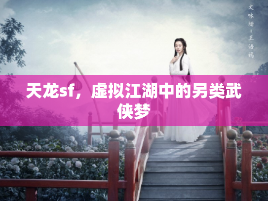 天龙sf，虚拟江湖中的另类武侠梦