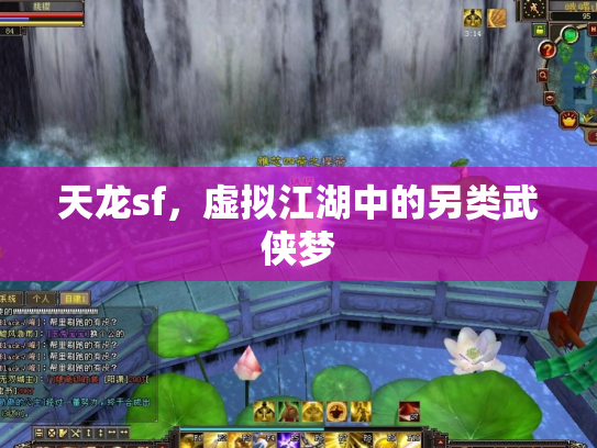 天龙sf，虚拟江湖中的另类武侠梦