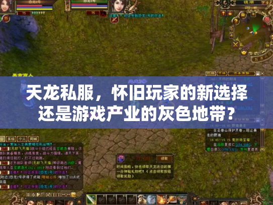 天龙私服，怀旧玩家的新选择还是游戏产业的灰色地带？
