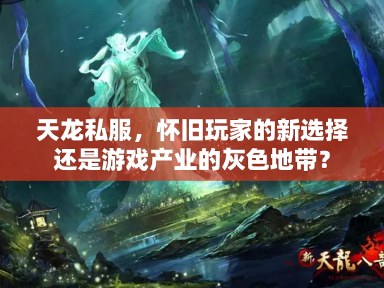 天龙私服，怀旧玩家的新选择还是游戏产业的灰色地带？