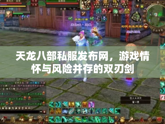 天龙八部私服发布网，游戏情怀与风险并存的双刃剑