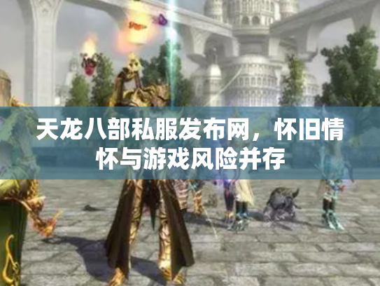 天龙八部私服发布网，怀旧情怀与游戏风险并存