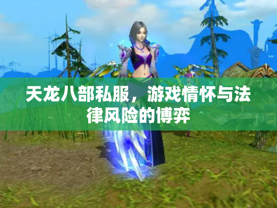 天龙八部私服，游戏情怀与法律风险的博弈