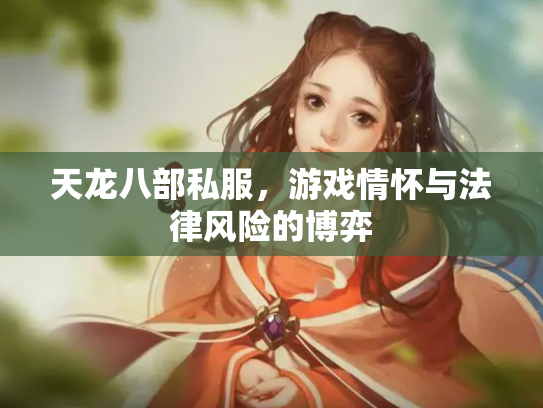 天龙八部私服，游戏情怀与法律风险的博弈