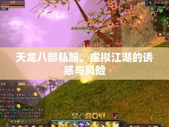 天龙八部私服，虚拟江湖的诱惑与风险