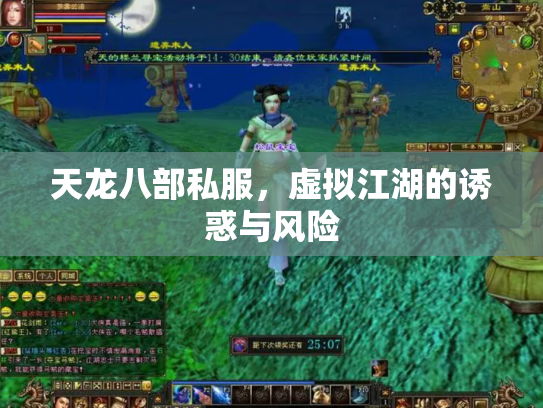 天龙八部私服，虚拟江湖的诱惑与风险