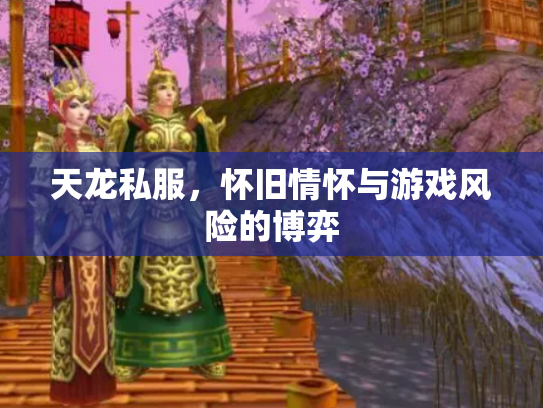 天龙私服，怀旧情怀与游戏风险的博弈