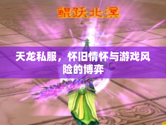 天龙私服，怀旧情怀与游戏风险的博弈