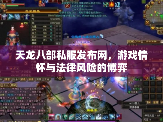 天龙八部私服发布网，游戏情怀与法律风险的博弈