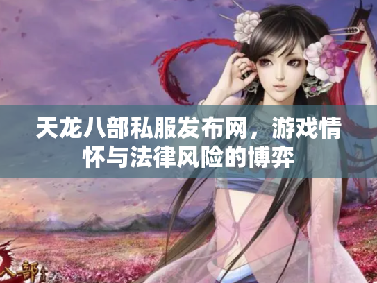 天龙八部私服发布网，游戏情怀与法律风险的博弈