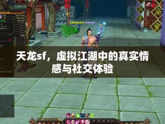 天龙sf，虚拟江湖中的真实情感与社交体验