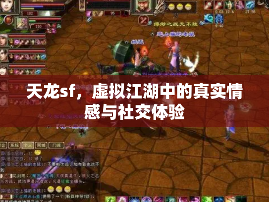 天龙sf，虚拟江湖中的真实情感与社交体验