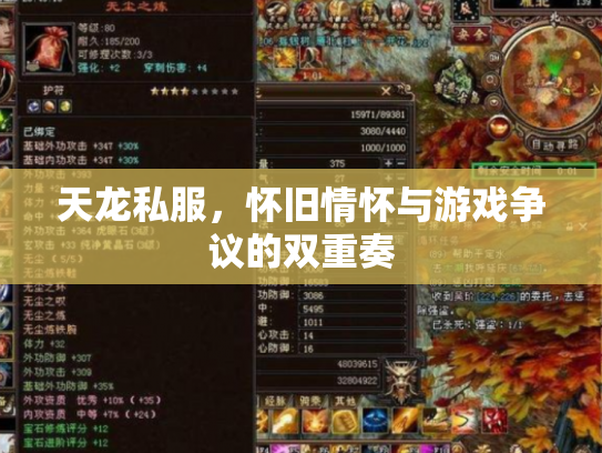 天龙私服，怀旧情怀与游戏争议的双重奏