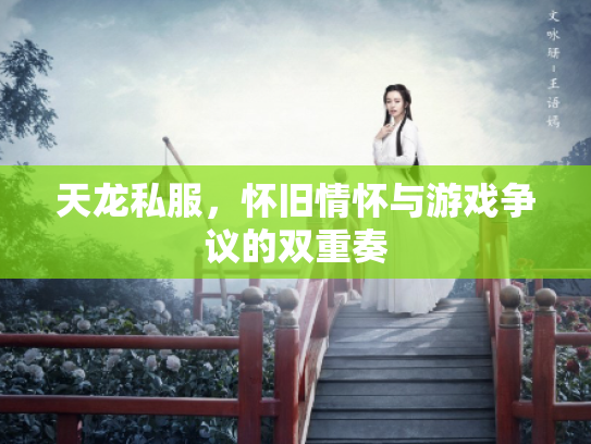 天龙私服，怀旧情怀与游戏争议的双重奏