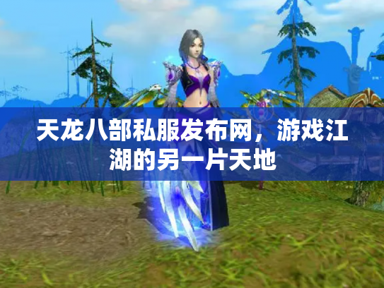 天龙八部私服发布网，游戏江湖的另一片天地