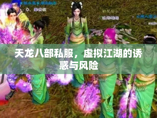 天龙八部私服，虚拟江湖的诱惑与风险