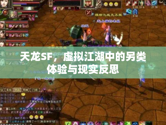 天龙SF，虚拟江湖中的另类体验与现实反思