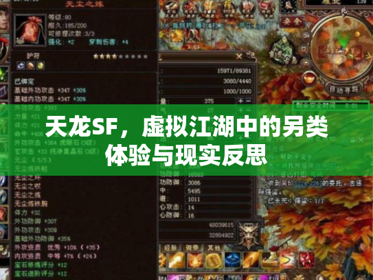 天龙SF，虚拟江湖中的另类体验与现实反思