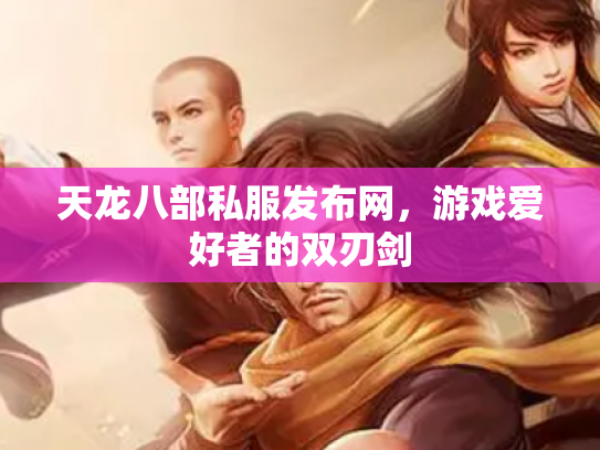 天龙八部私服发布网，游戏爱好者的双刃剑